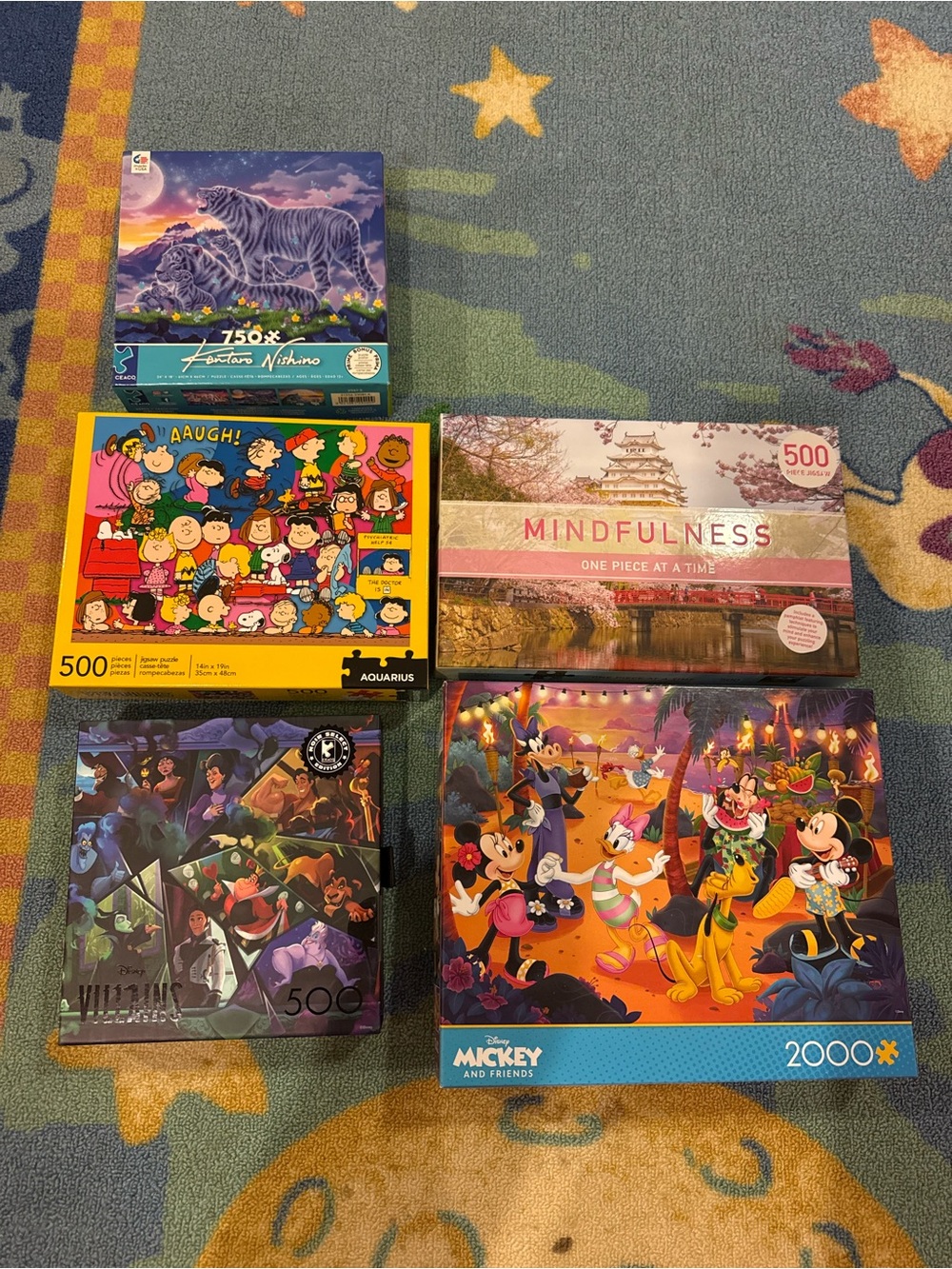5 piece puzzles with a variety of pieces!